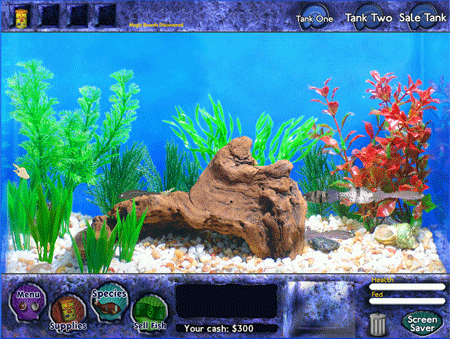 reviews kinds of fish 450x339 reviews kinds of fish 450x339